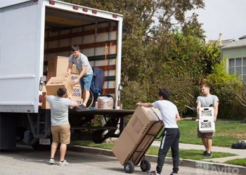 Packing & Unpacking Services
